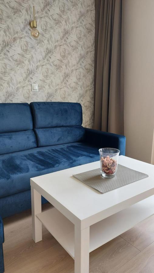 Apartament Skamander Торунь Екстер'єр фото